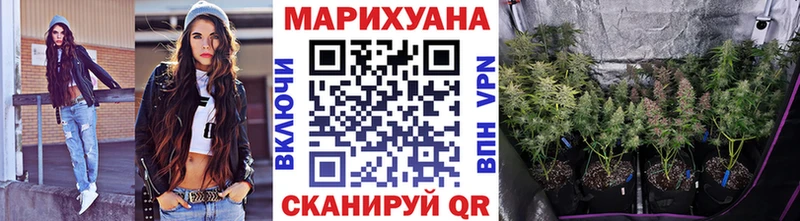 Каннабис OG Kush  купить наркотик  Волосово 